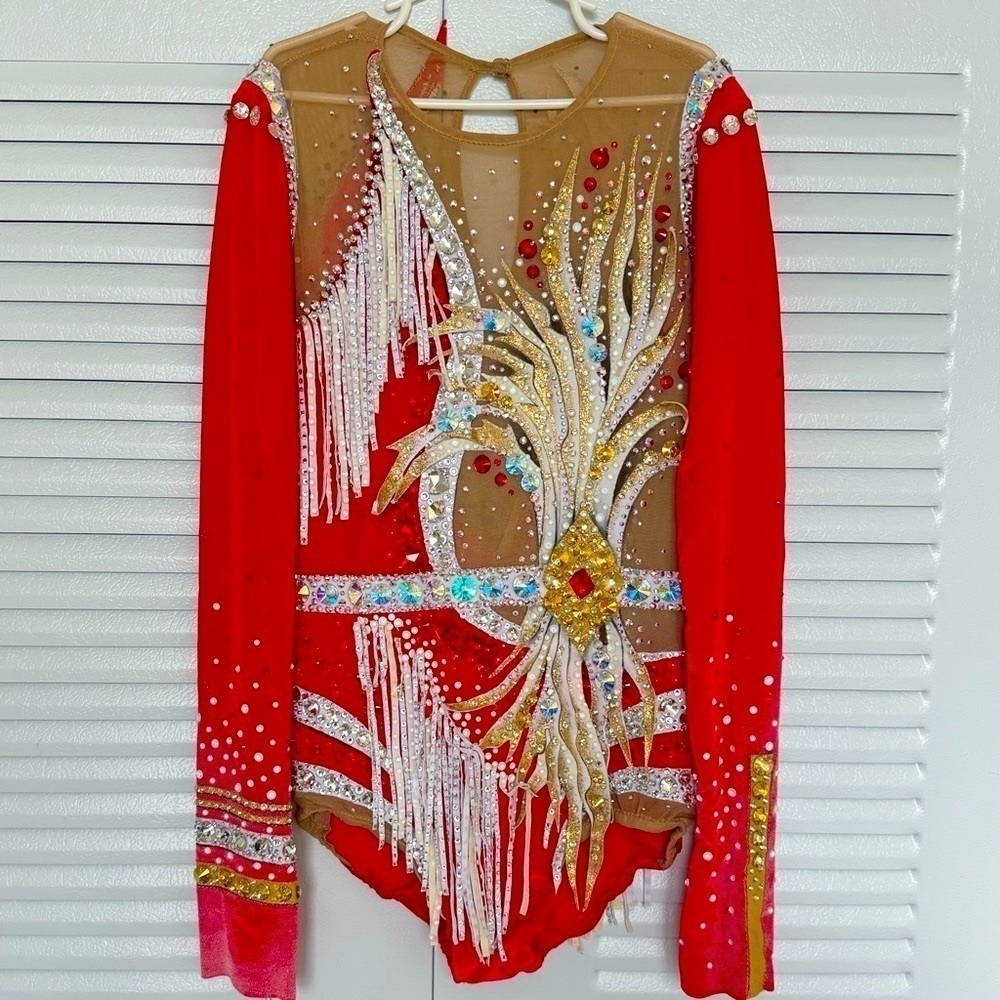 RHYTHMIC GYMNASTICS LEOTARD For teen girls, gorgeous piece!